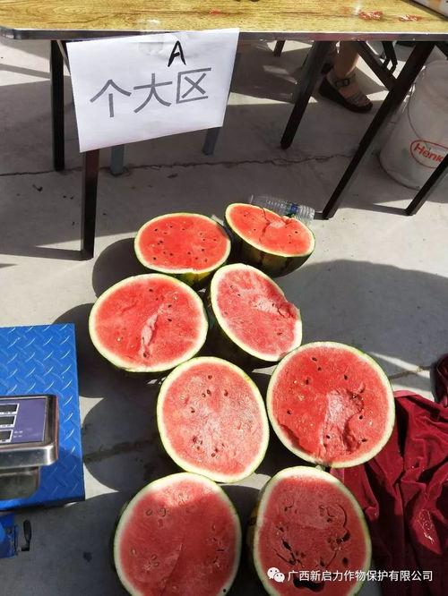 新瓜最新爆料广西,揭秘背后惊人真相!”